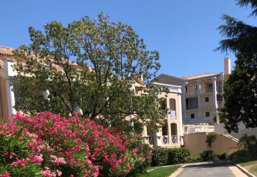 Beautiful Garden Apartment Cote D'Azur Cannes Eksteriør bilde
